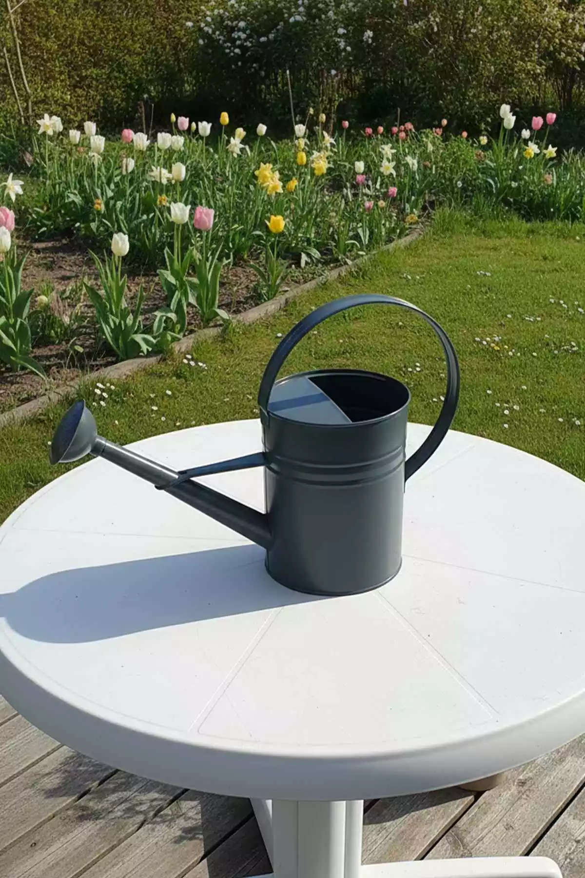 Olivia 3,5 Litre Sulama Kabı