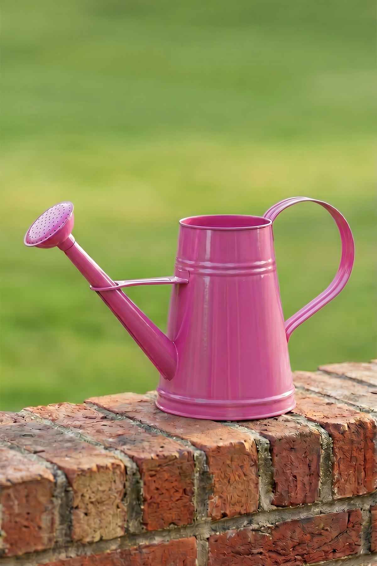 Stella 3 Litre Metal Çiçek Bahçe Sulama Kabı - Modern Dekoratif Çok Amaçlı Sulak