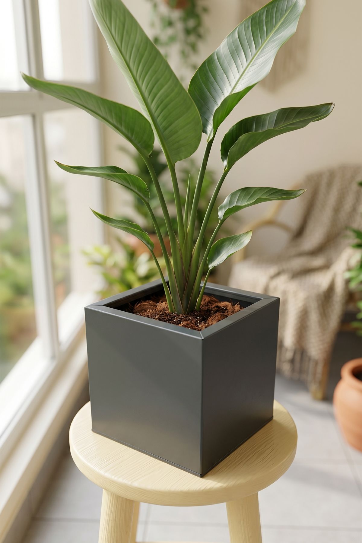 Zenith 25 cm Kare Küp Metal Saksı - İç & Dış Mekan Modern Dekoratif Saksılık (25x25x25 cm)