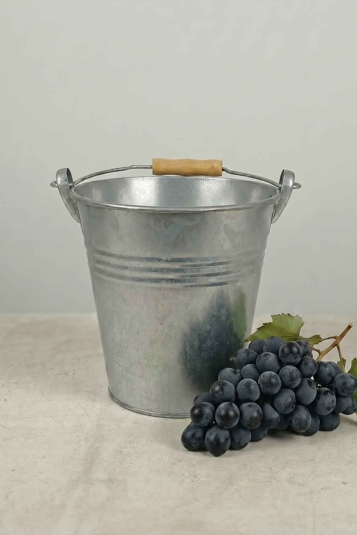 Metal Dekoratif Kova 4 Litre - 21 cm Çok Amaçlı Saplı Galvaniz Saksılık ve Düzenleyici